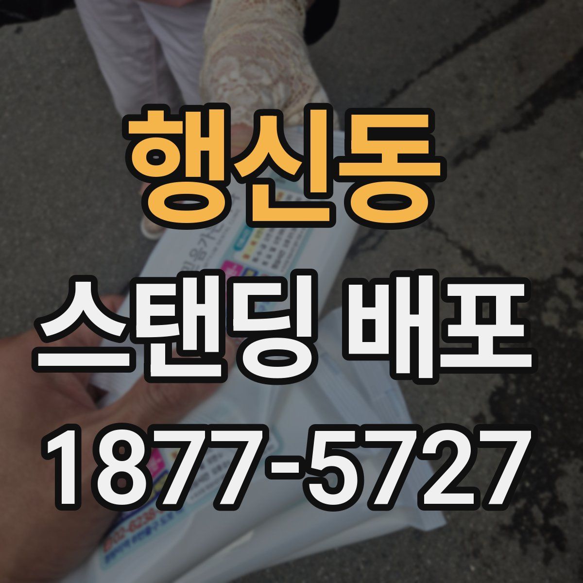 행신동 스탠딩 배포