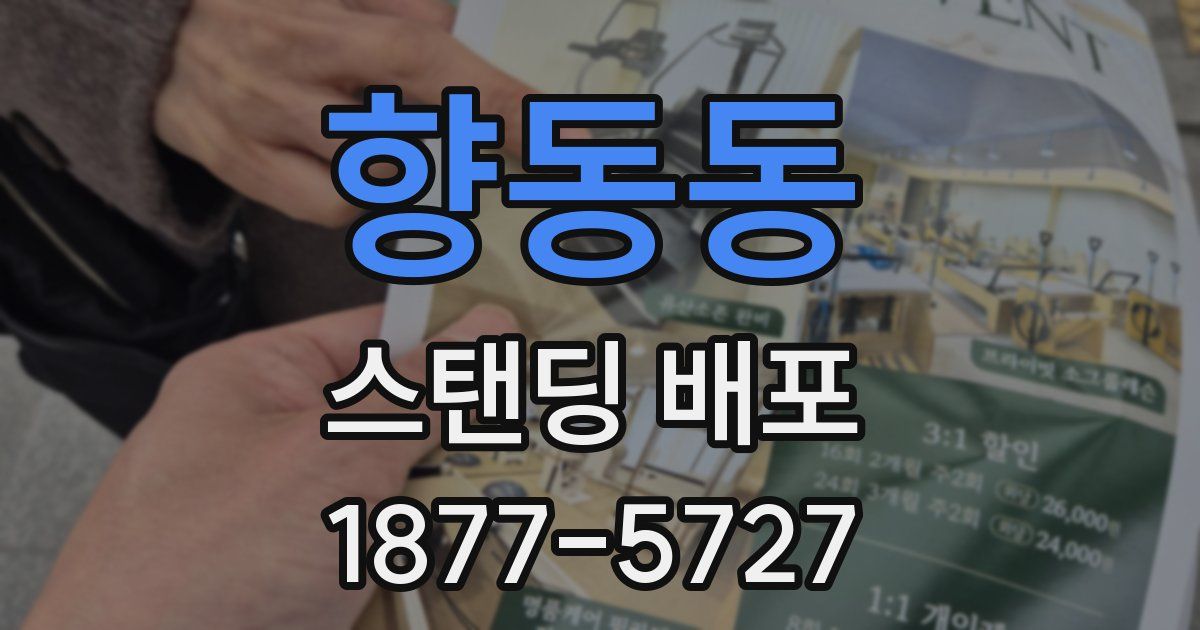 향동동 스탠딩 배포