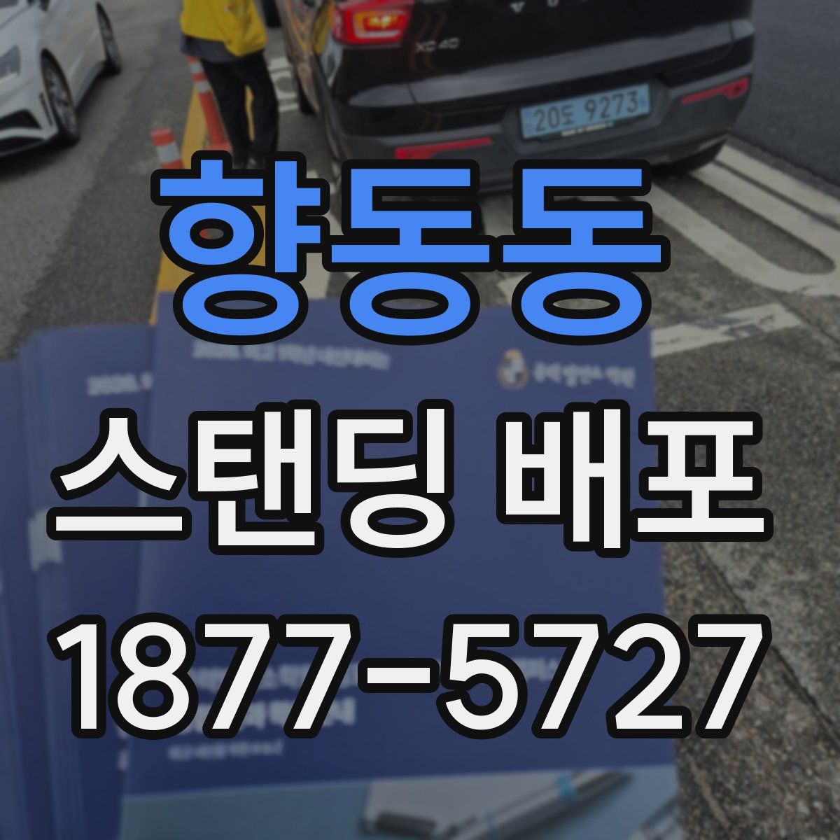 향동동 스탠딩 배포