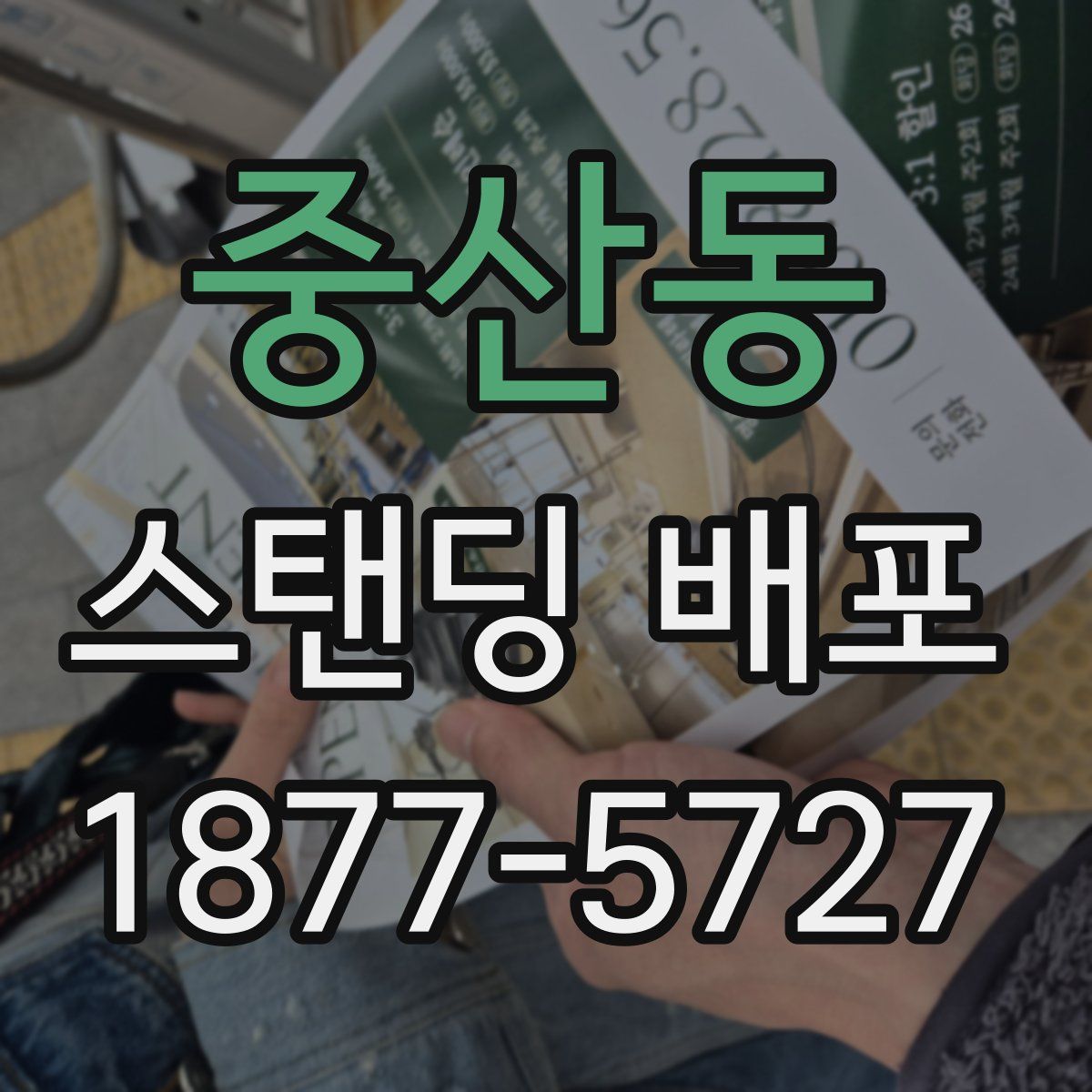 중산동 스탠딩 배포