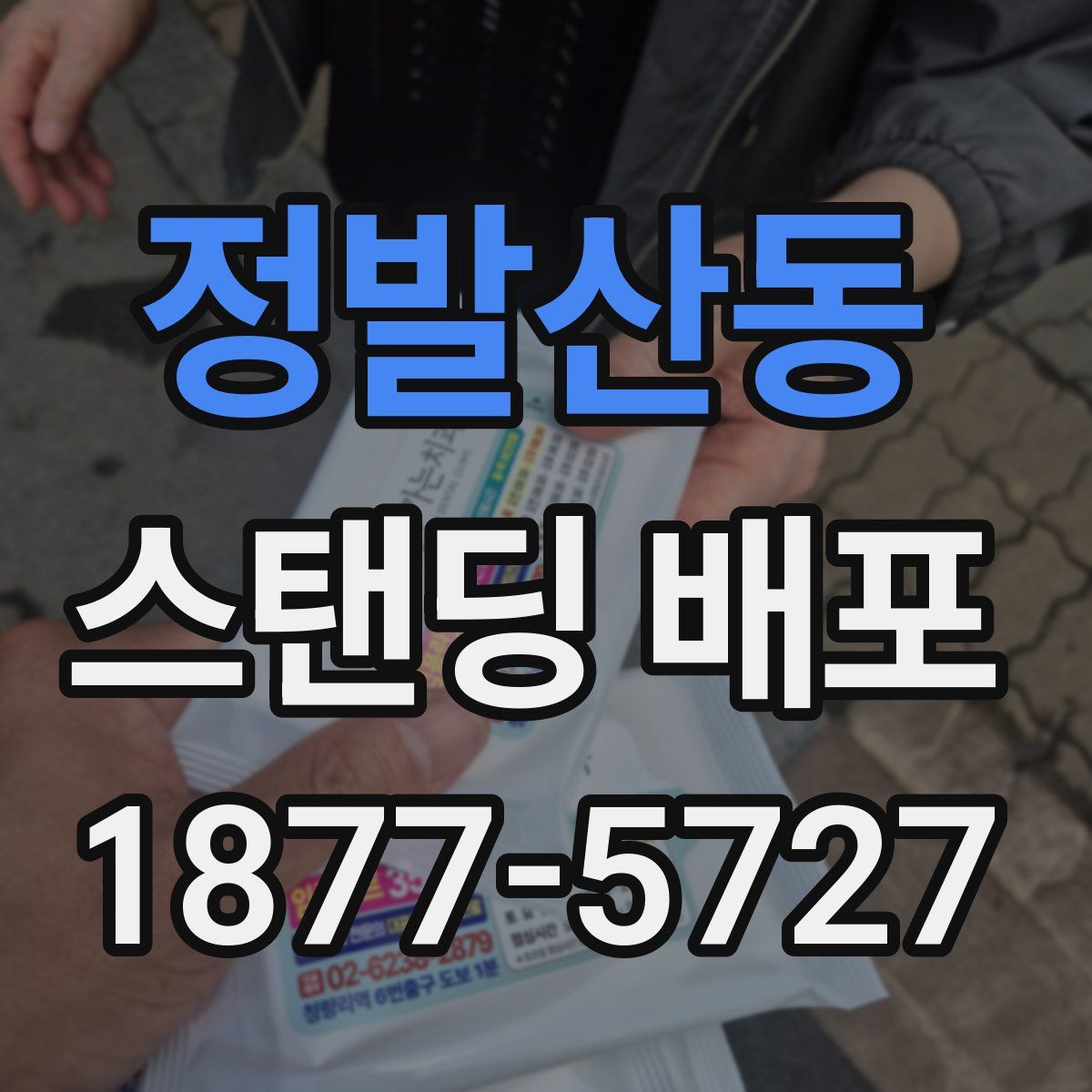 정발산동 스탠딩 배포