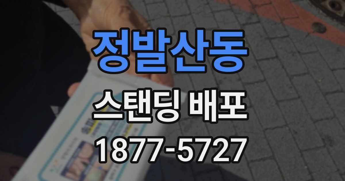 정발산동 스탠딩 배포