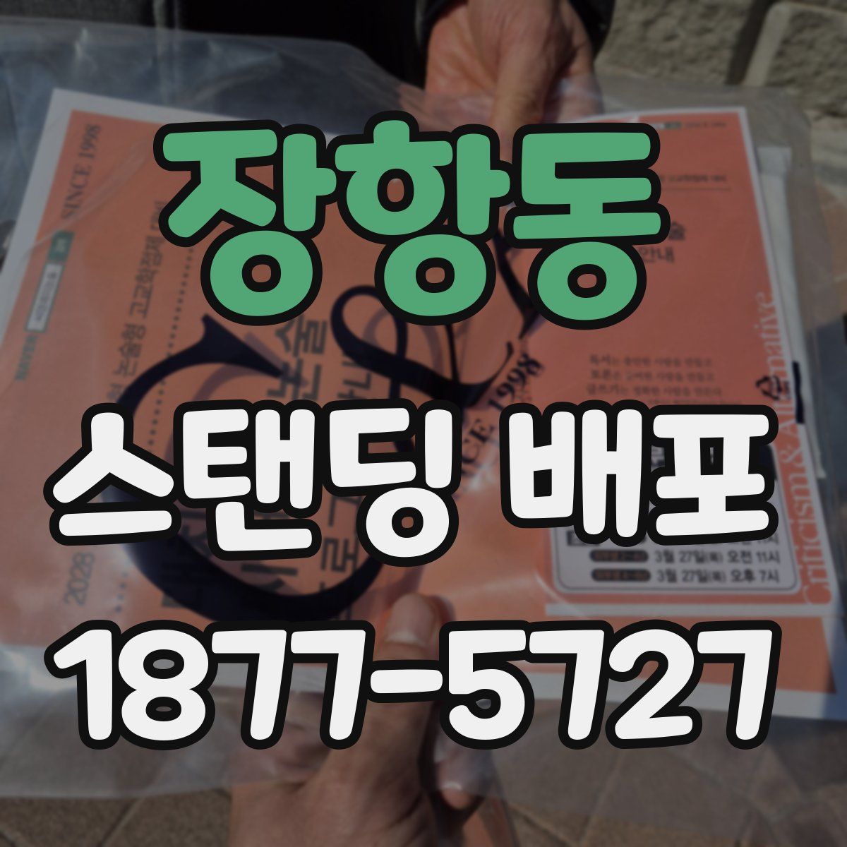장항동 스탠딩 배포