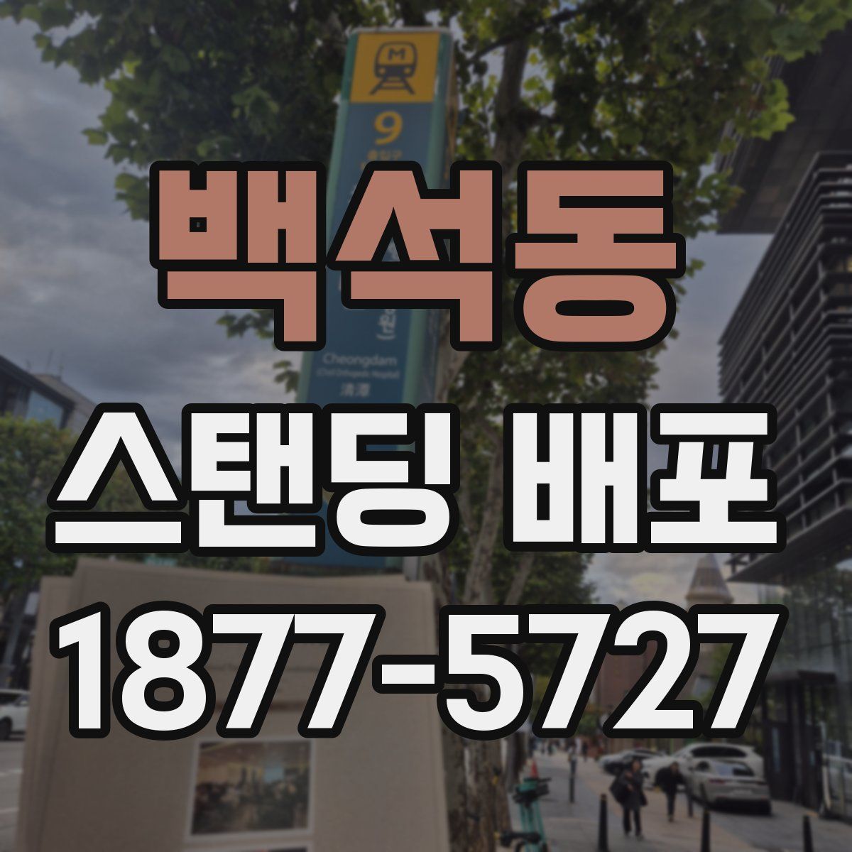 백석동 스탠딩 배포