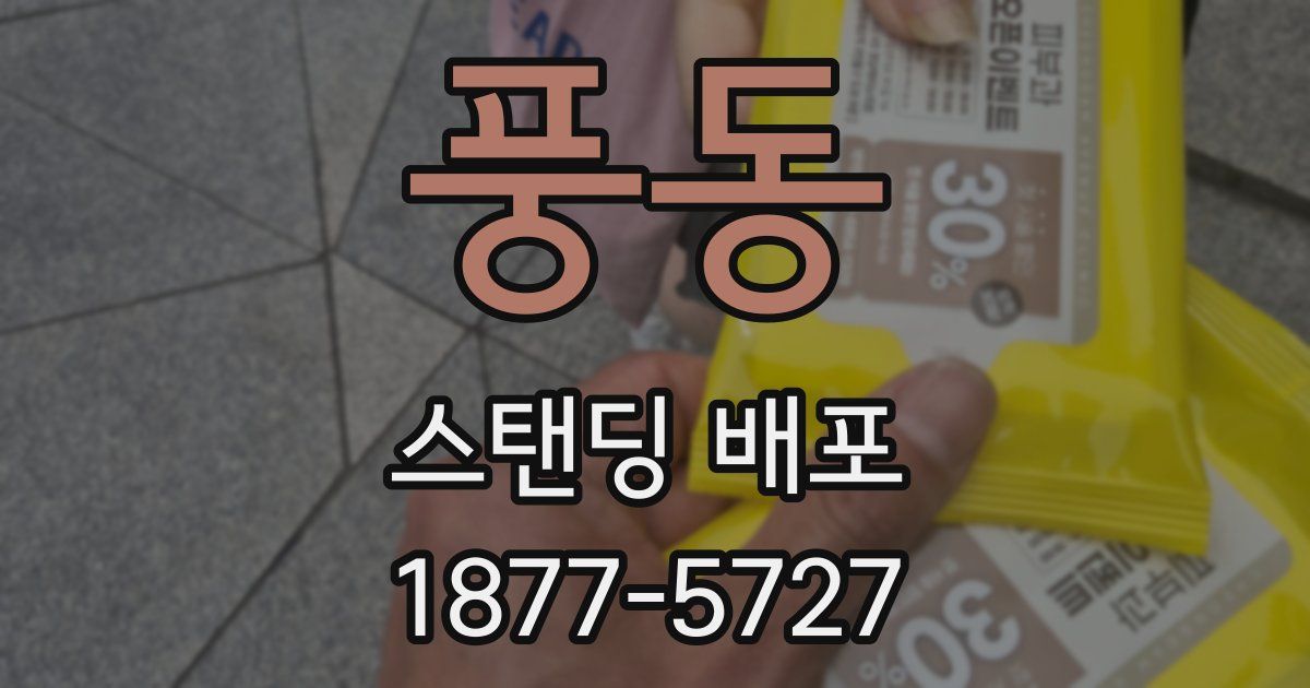 풍동 스탠딩 배포