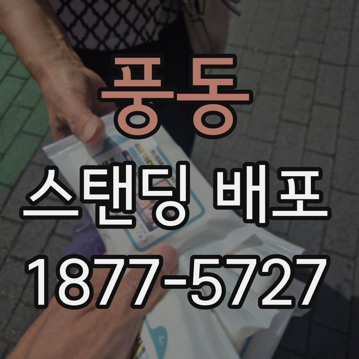 풍동 스탠딩 배포