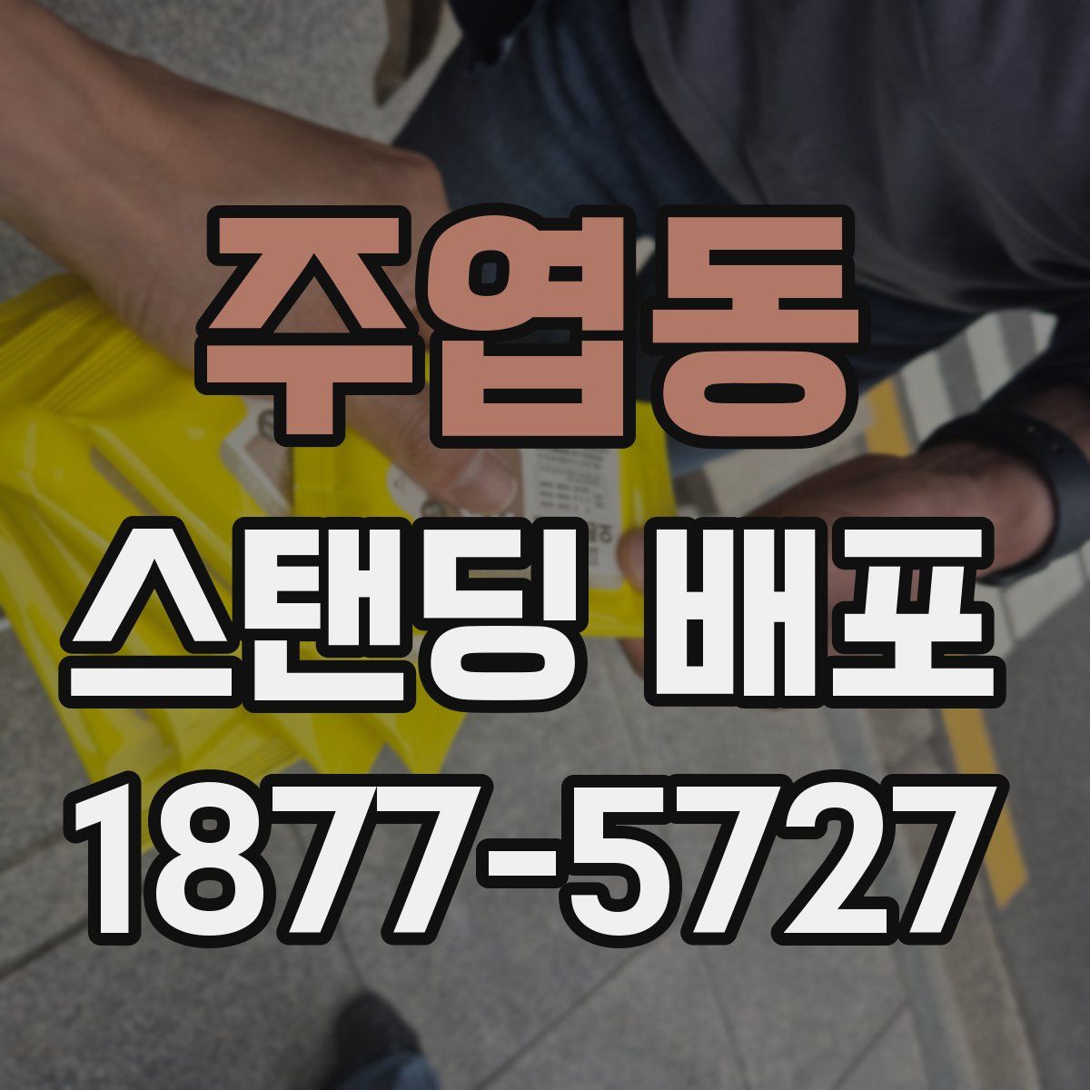 주엽동 스탠딩 배포