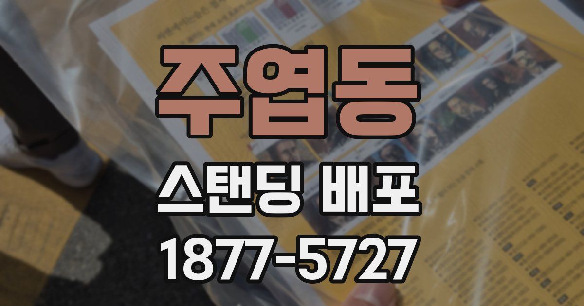 주엽동 스탠딩 배포