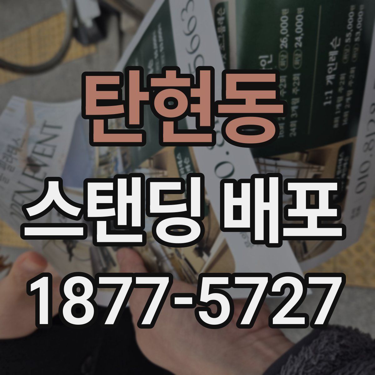탄현동 스탠딩 배포