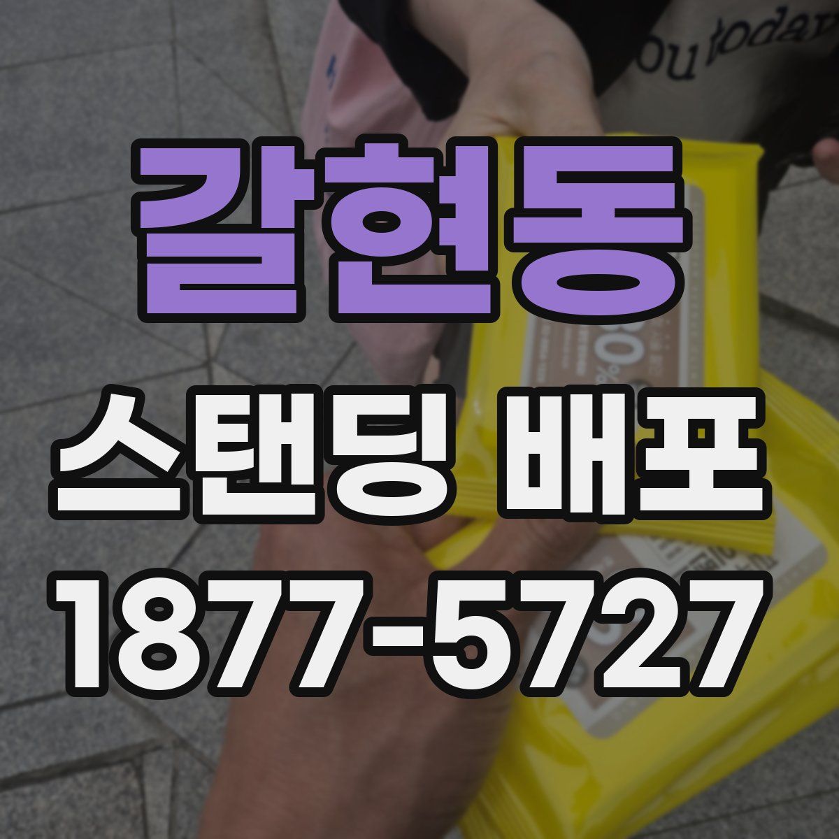 갈현동 스탠딩 배포