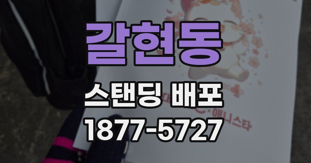 갈현동 스탠딩 배포
