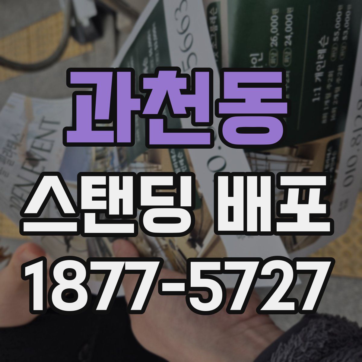 과천동 스탠딩 배포