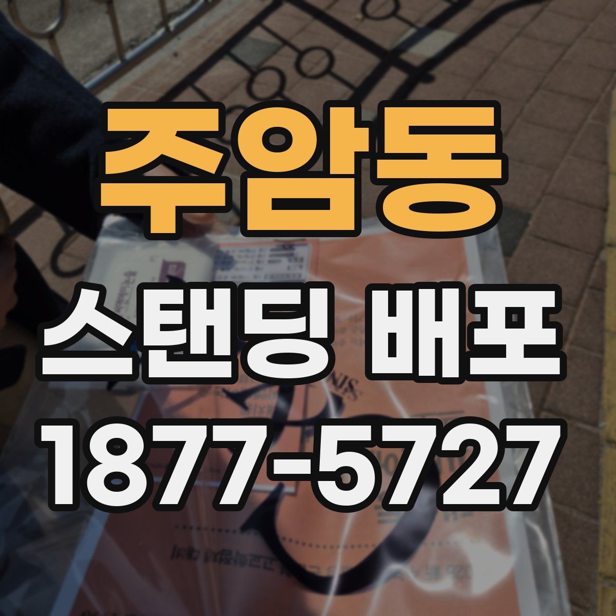 주암동 스탠딩 배포