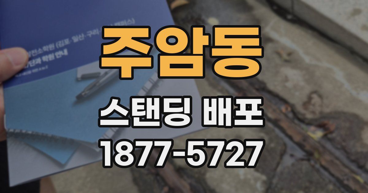 주암동 스탠딩 배포
