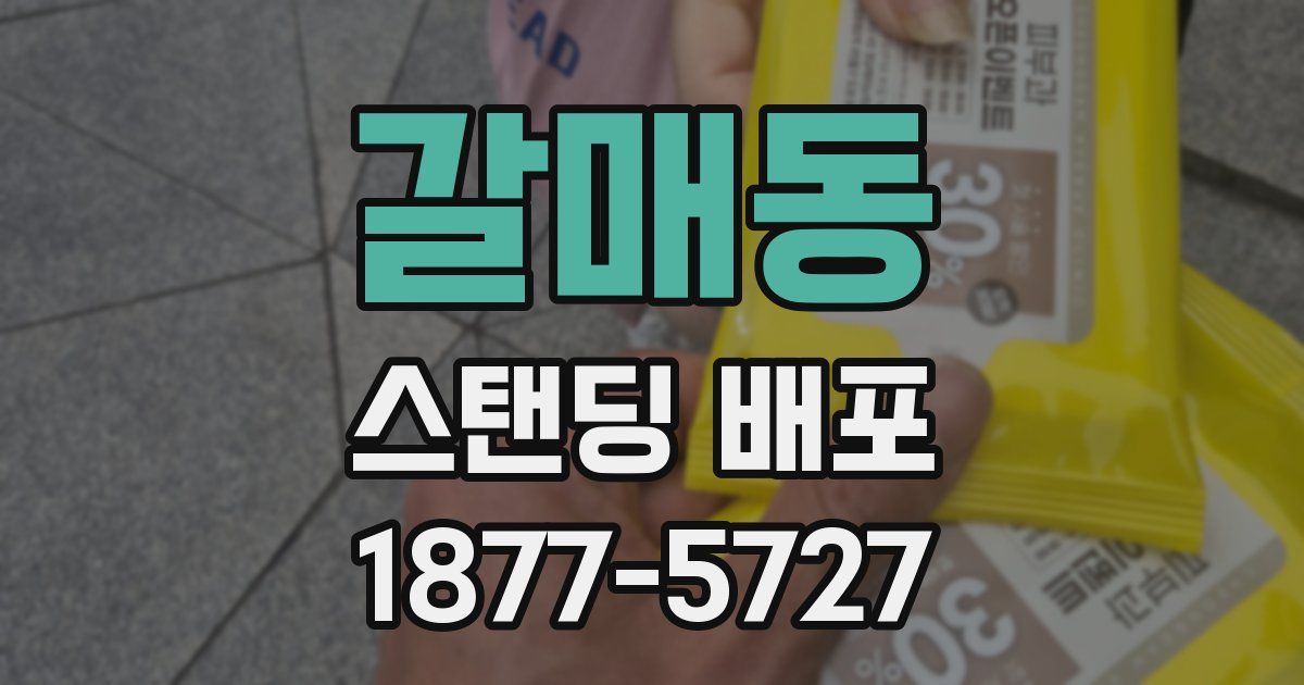 갈매동 스탠딩 배포