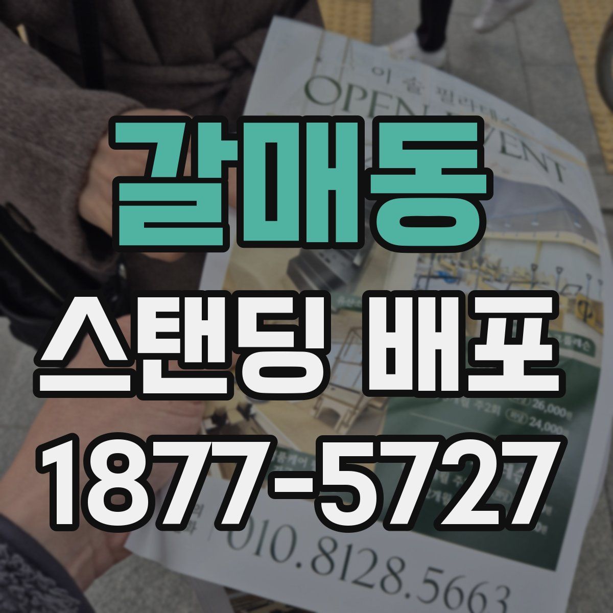 갈매동 스탠딩 배포