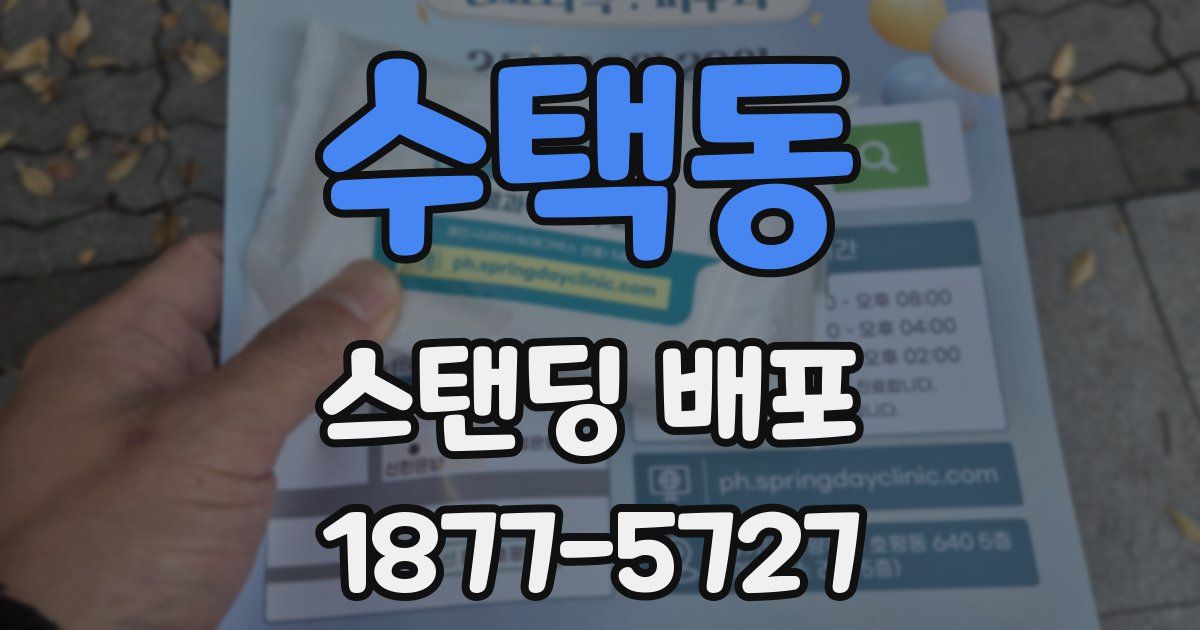 수택동 스탠딩 배포