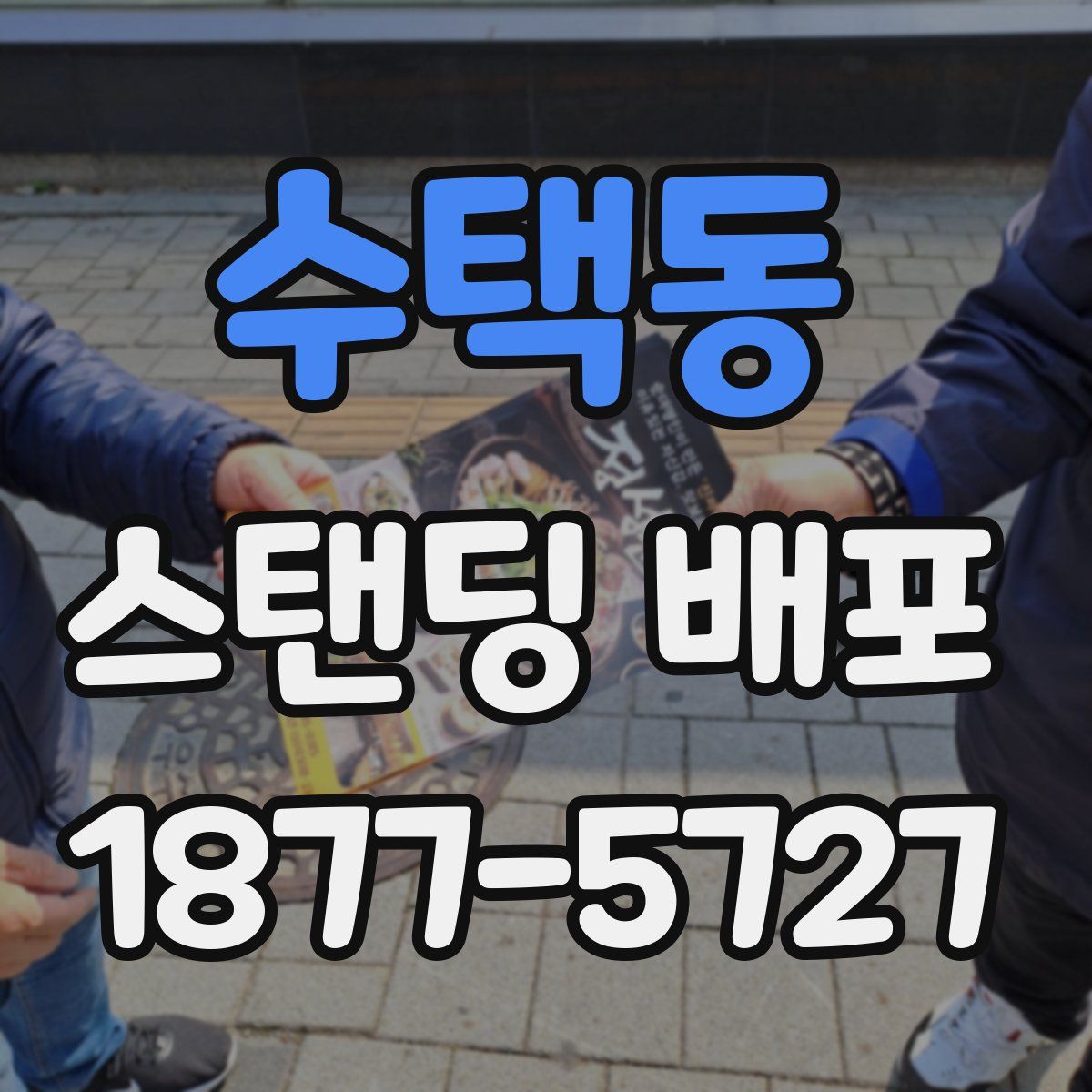 수택동 스탠딩 배포