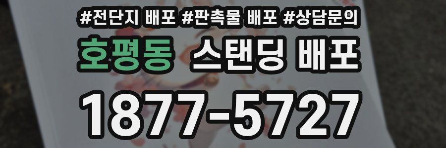 호평동 스탠딩 배포