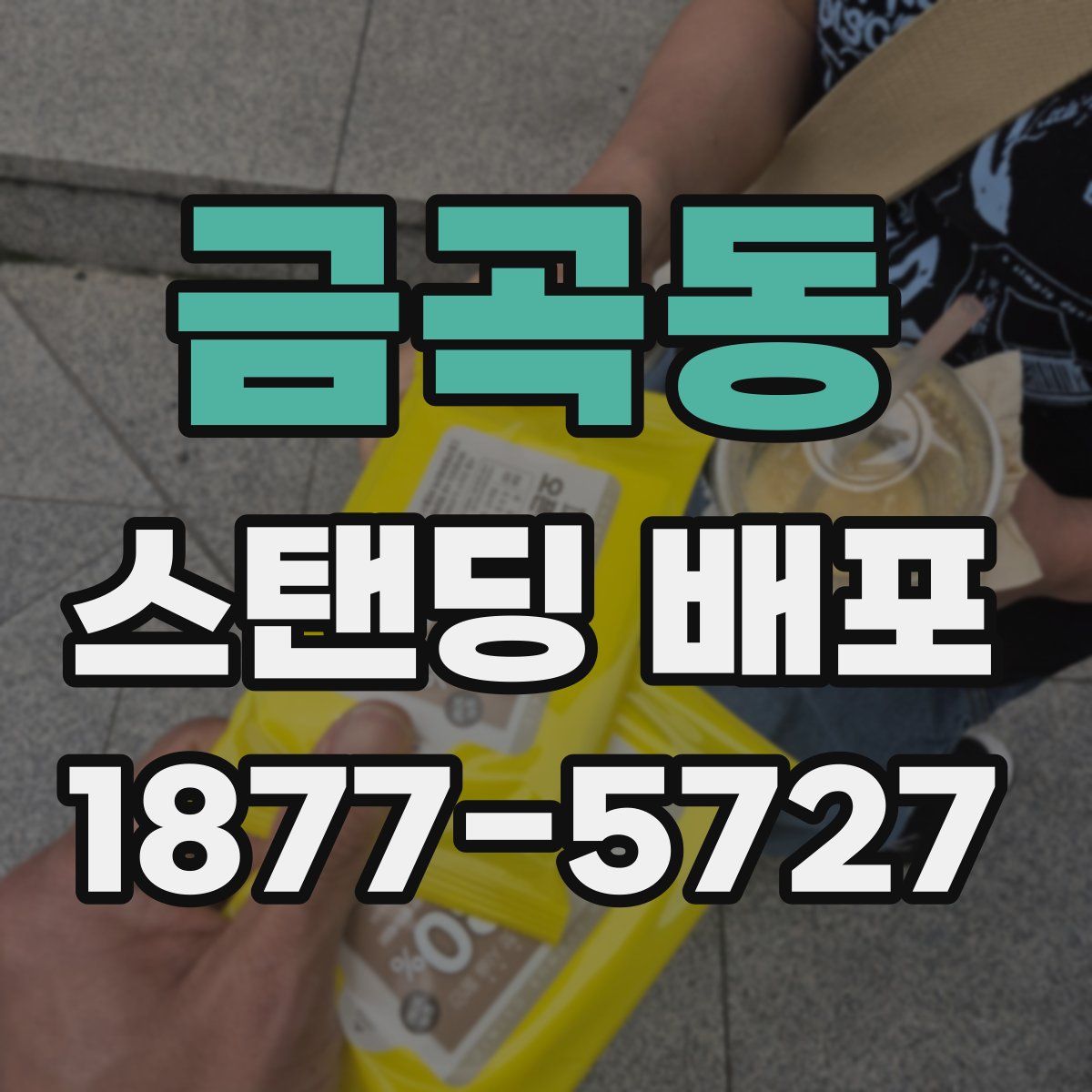 금곡동 스탠딩 배포
