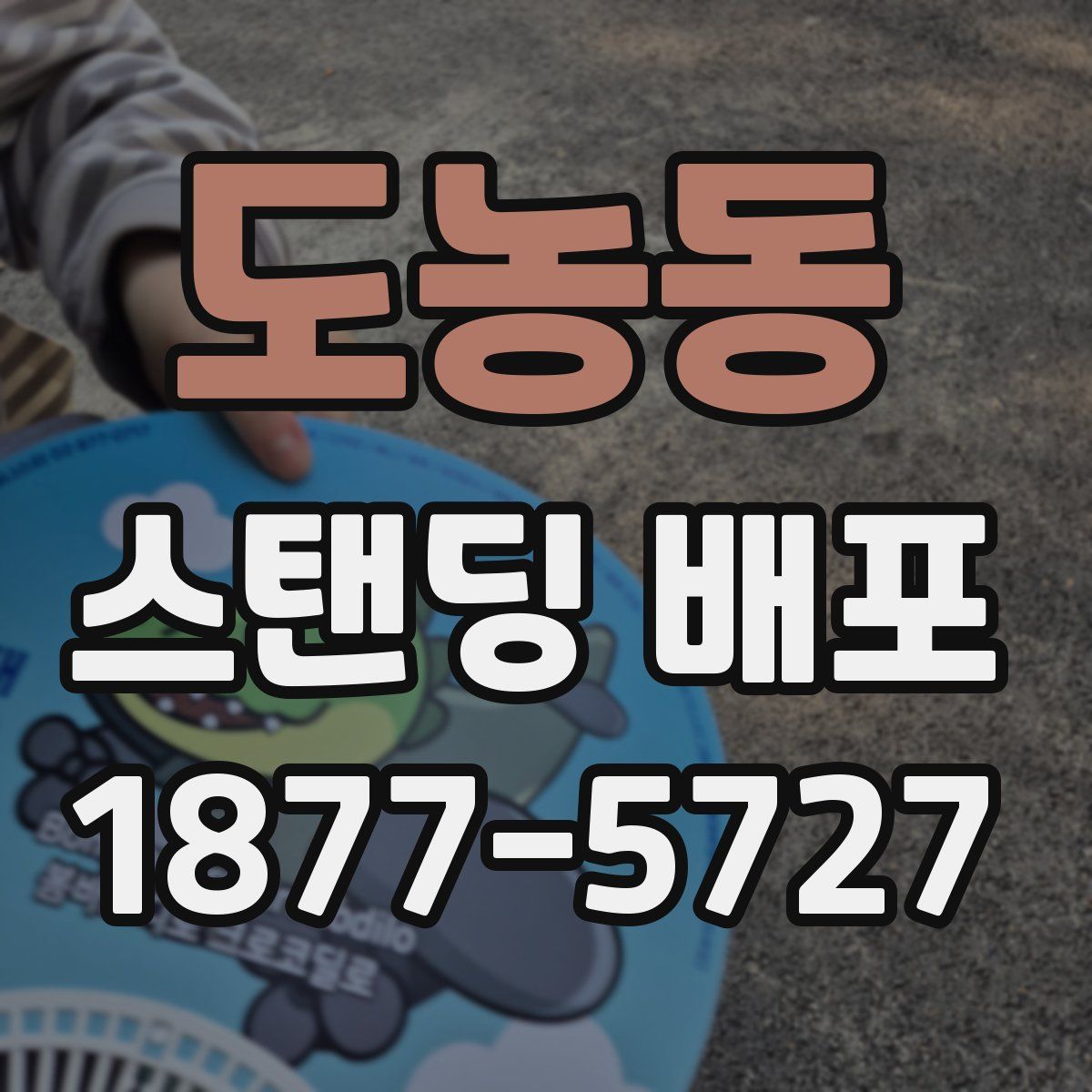 도농동 스탠딩 배포
