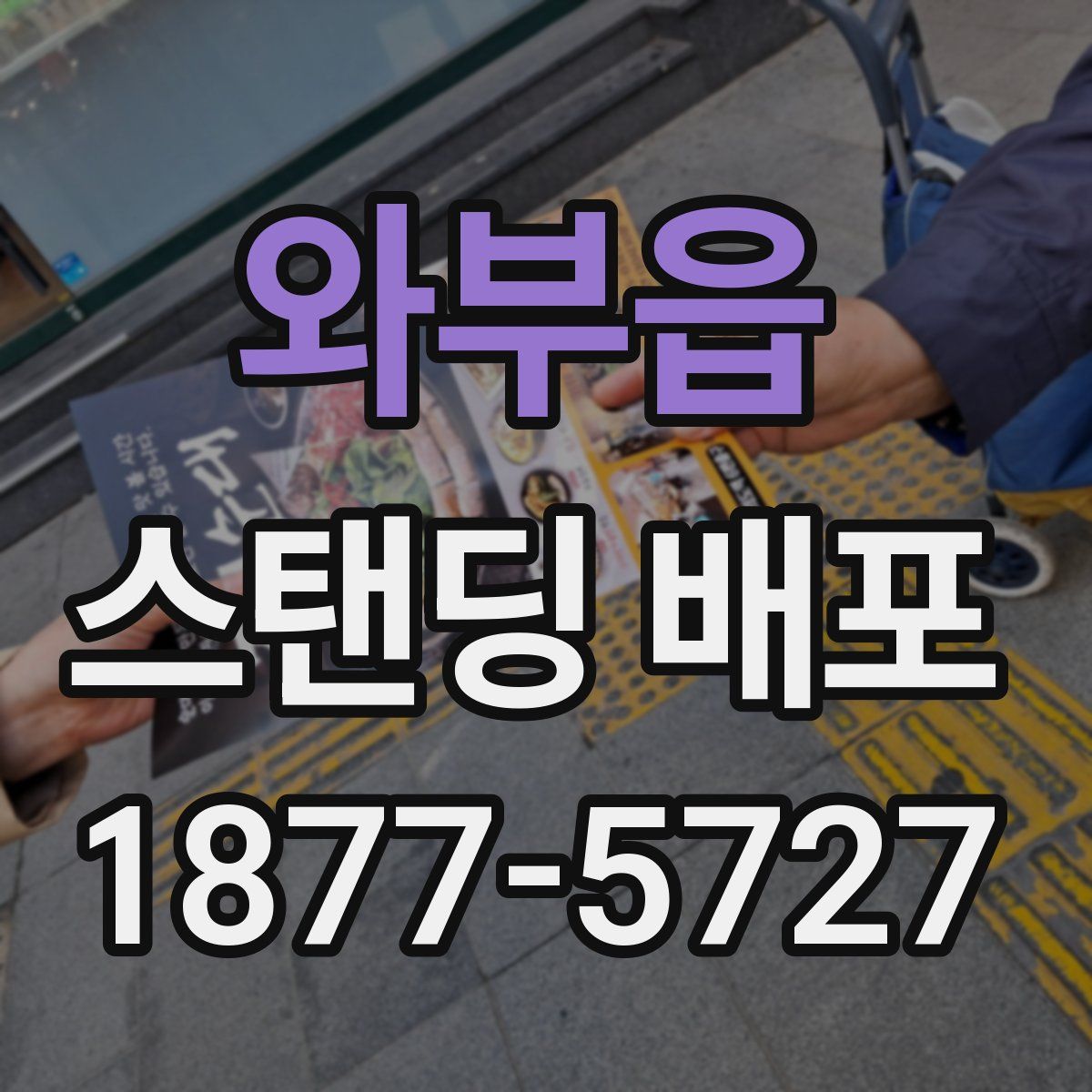 와부읍 스탠딩 배포