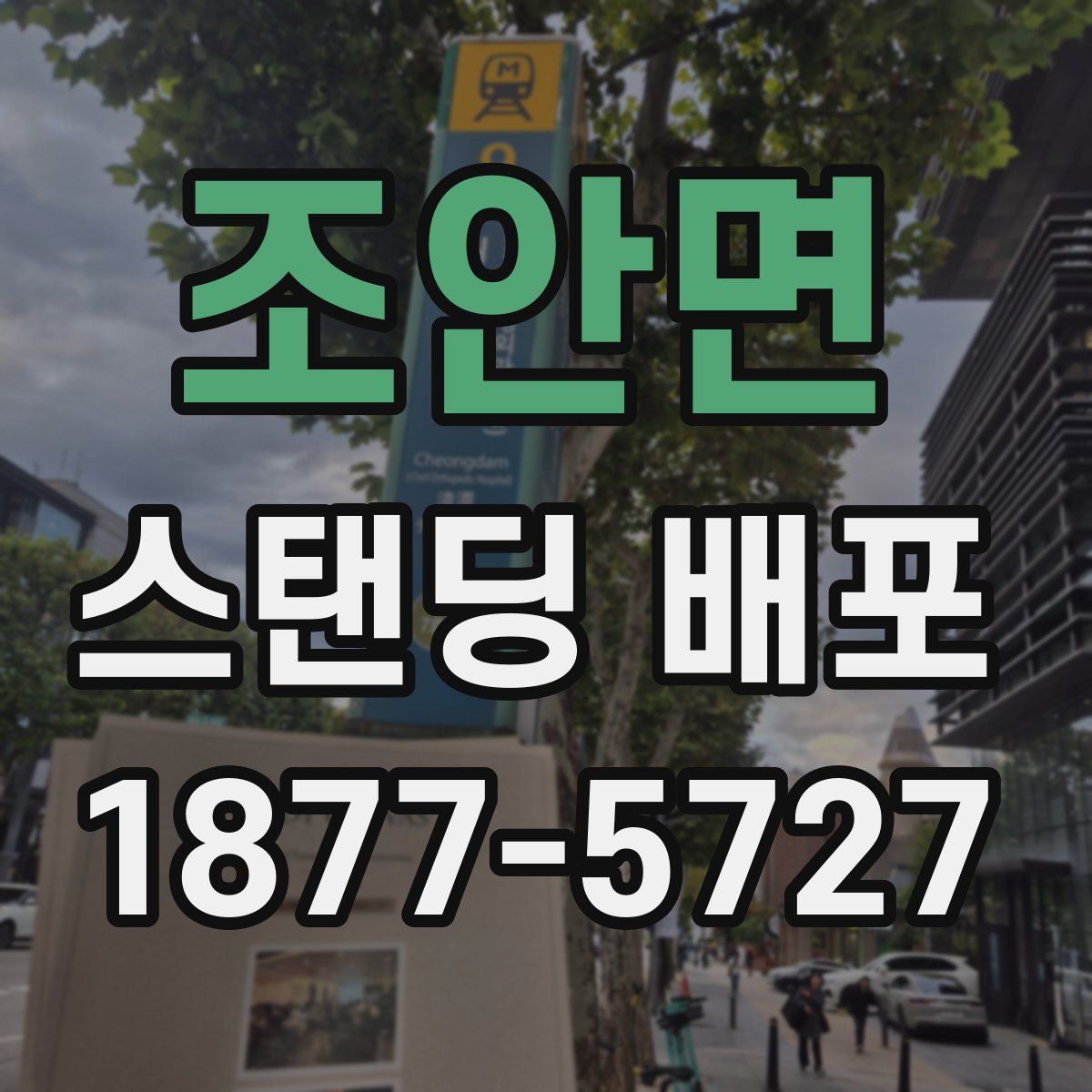 조안면 스탠딩 배포