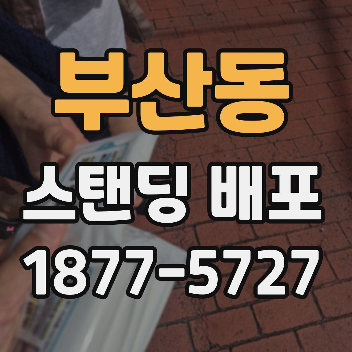 부산동 스탠딩 배포