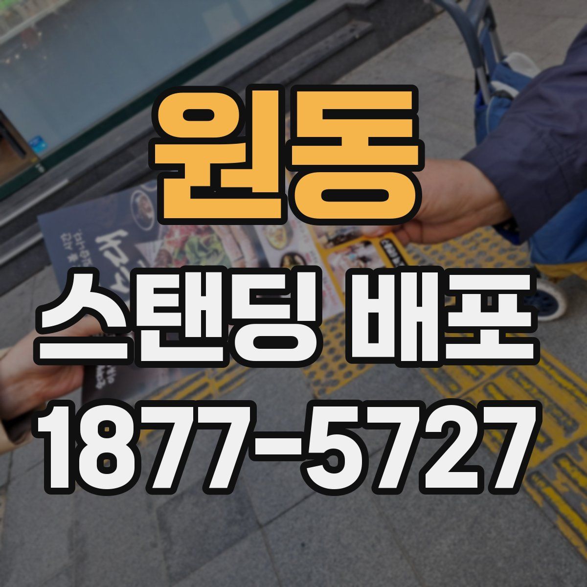 원동 스탠딩 배포