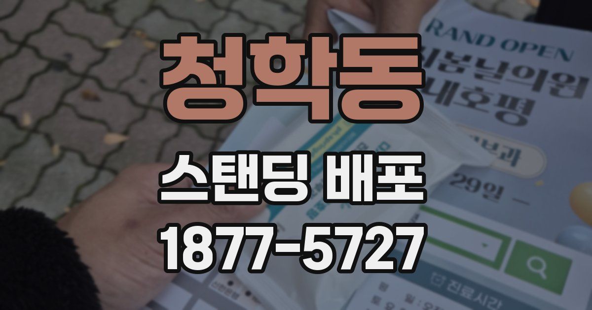 청학동 스탠딩 배포