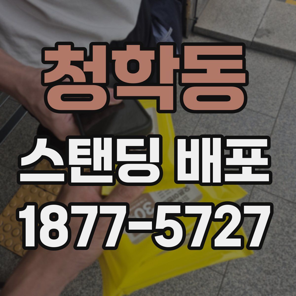 청학동 스탠딩 배포