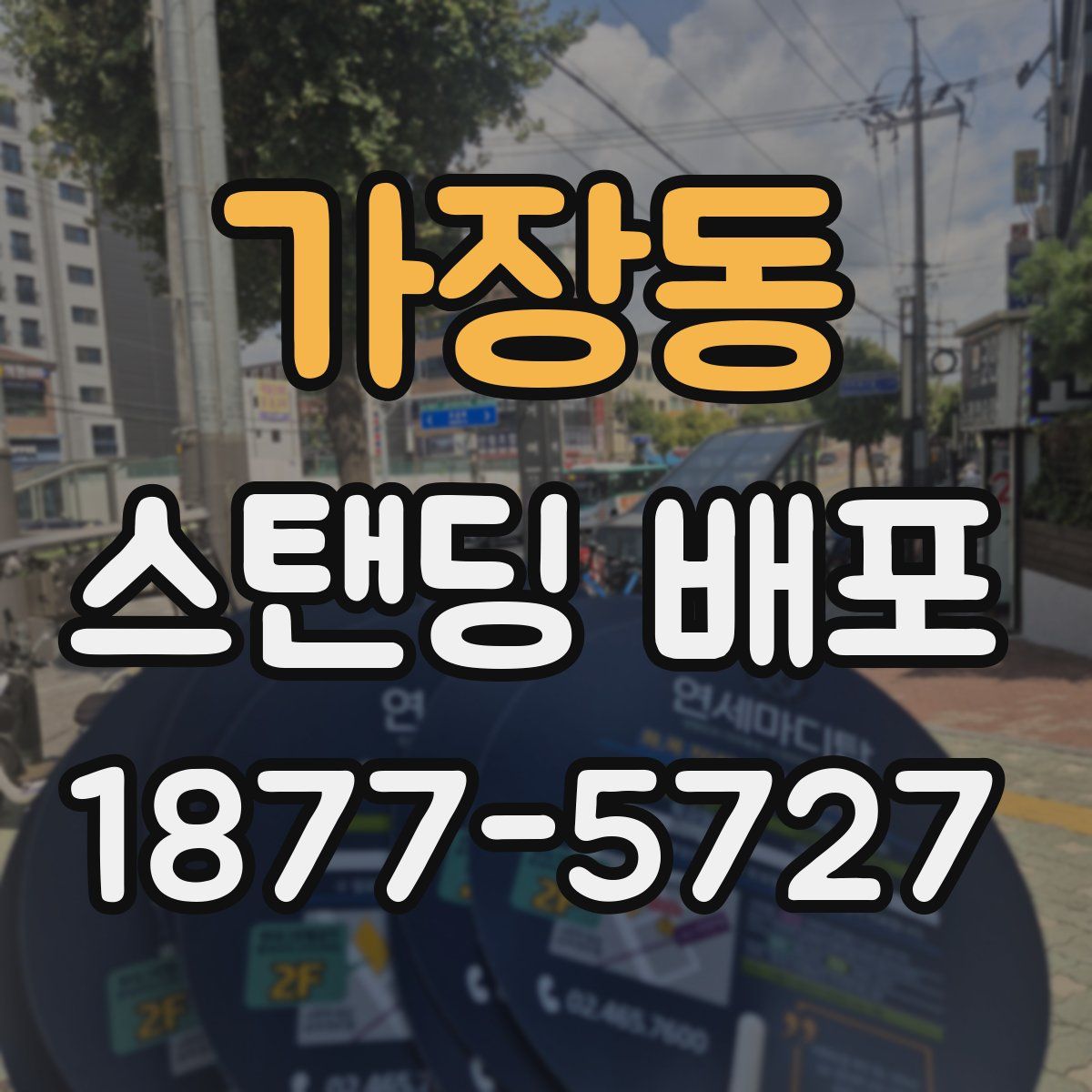 가장동 스탠딩 배포