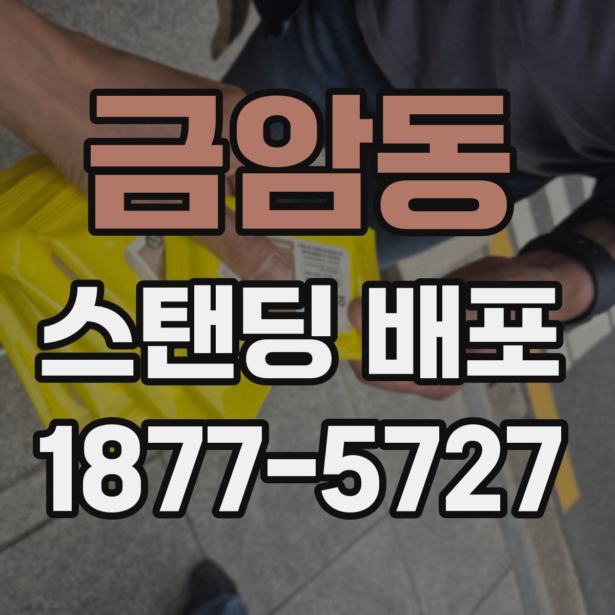 금암동 스탠딩 배포