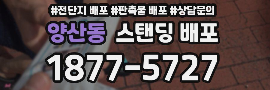 양산동 스탠딩 배포