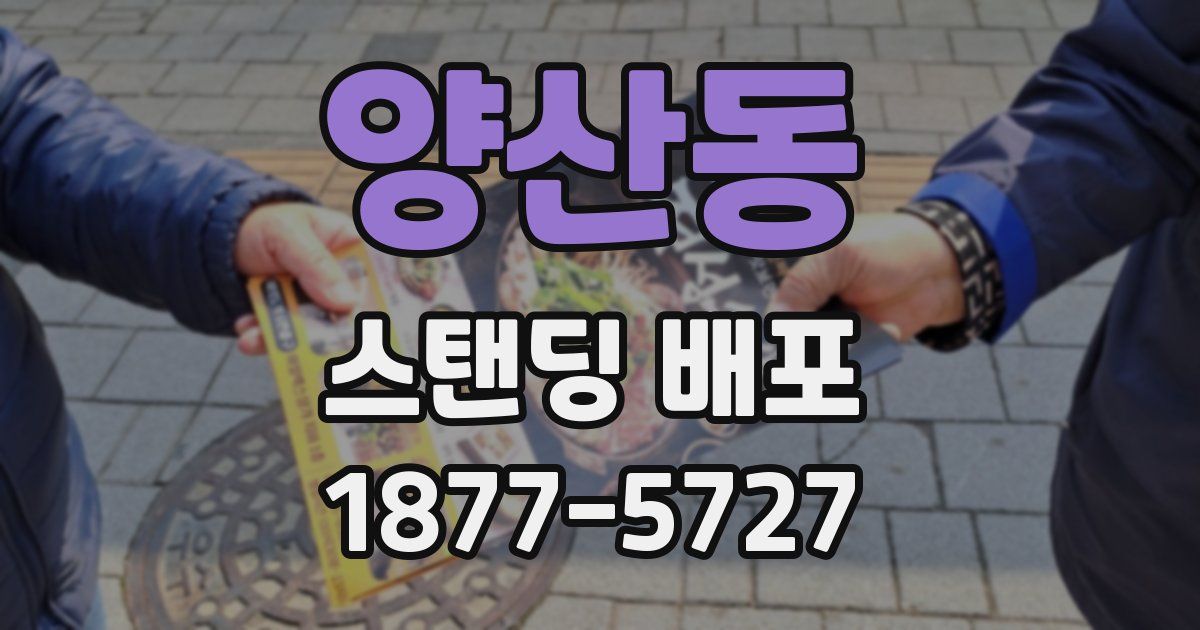 양산동 스탠딩 배포