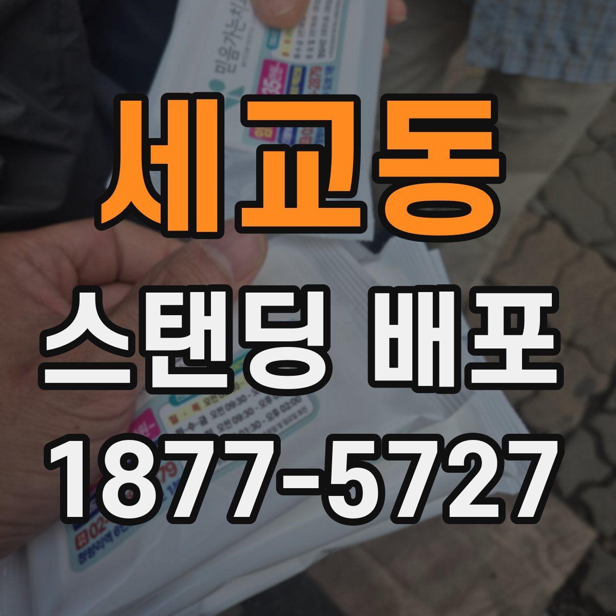 세교동 스탠딩 배포