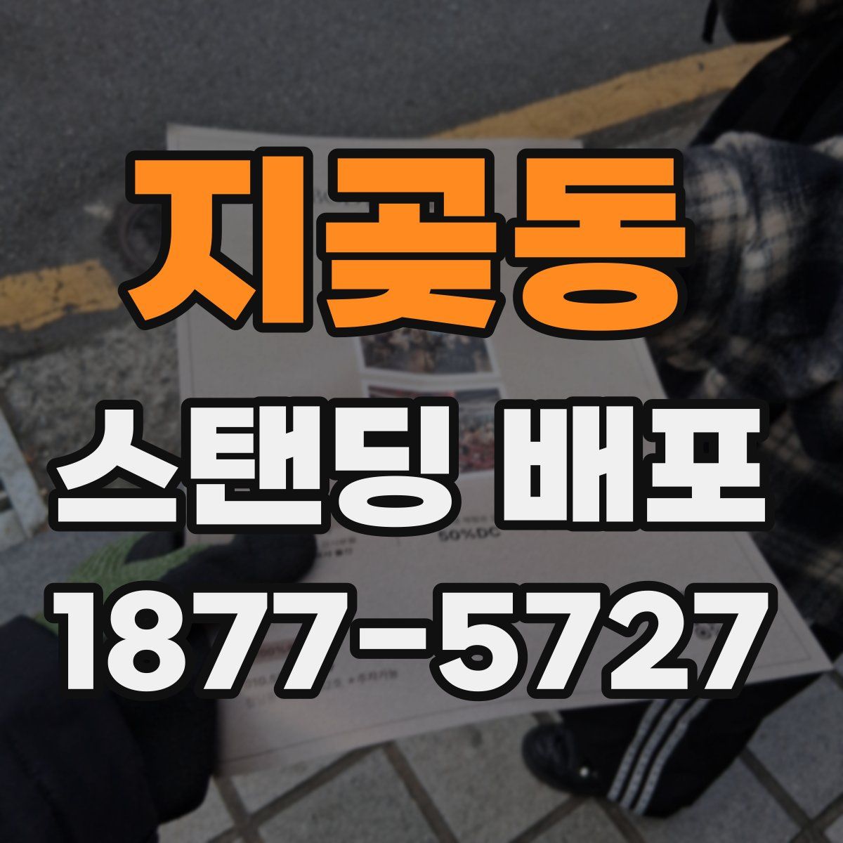 지곶동 스탠딩 배포
