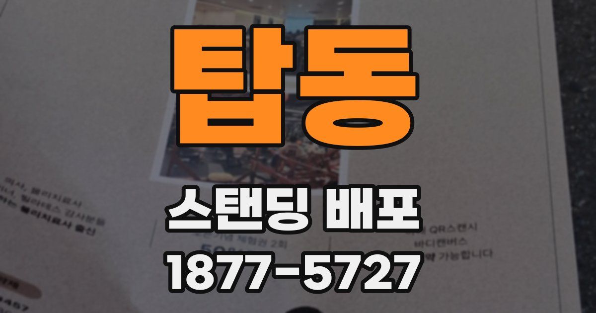 탑동 스탠딩 배포