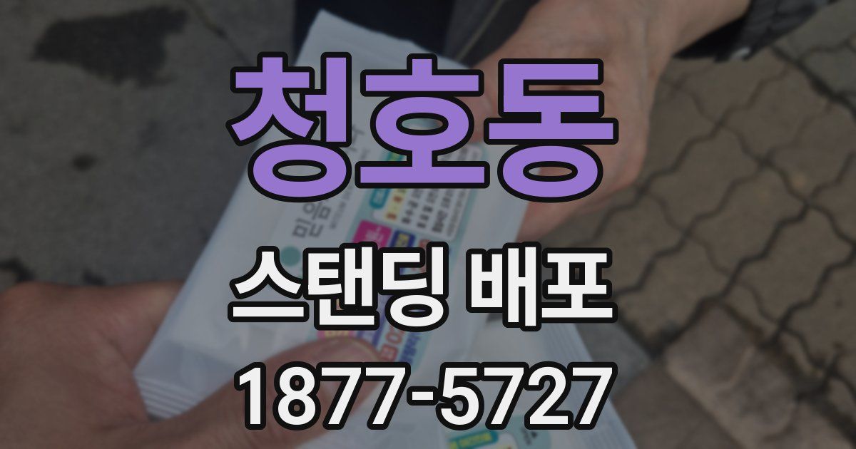 청호동 스탠딩 배포