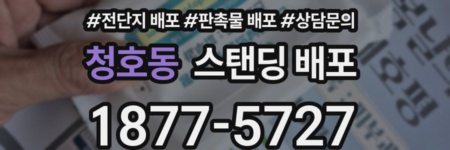 청호동 스탠딩 배포