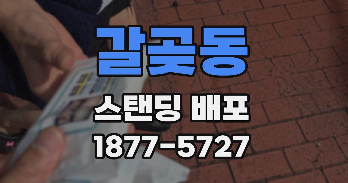 갈곶동 스탠딩 배포