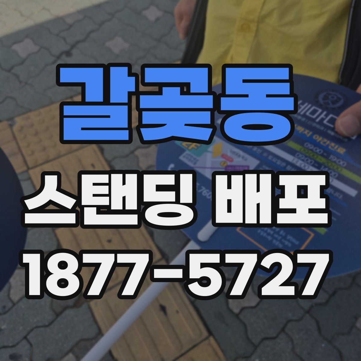갈곶동 스탠딩 배포