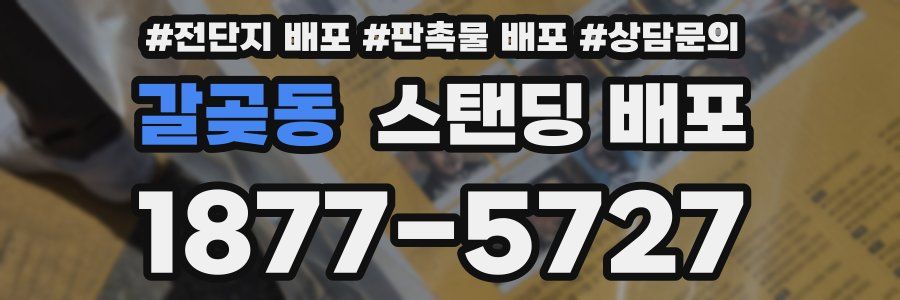 갈곶동 스탠딩 배포