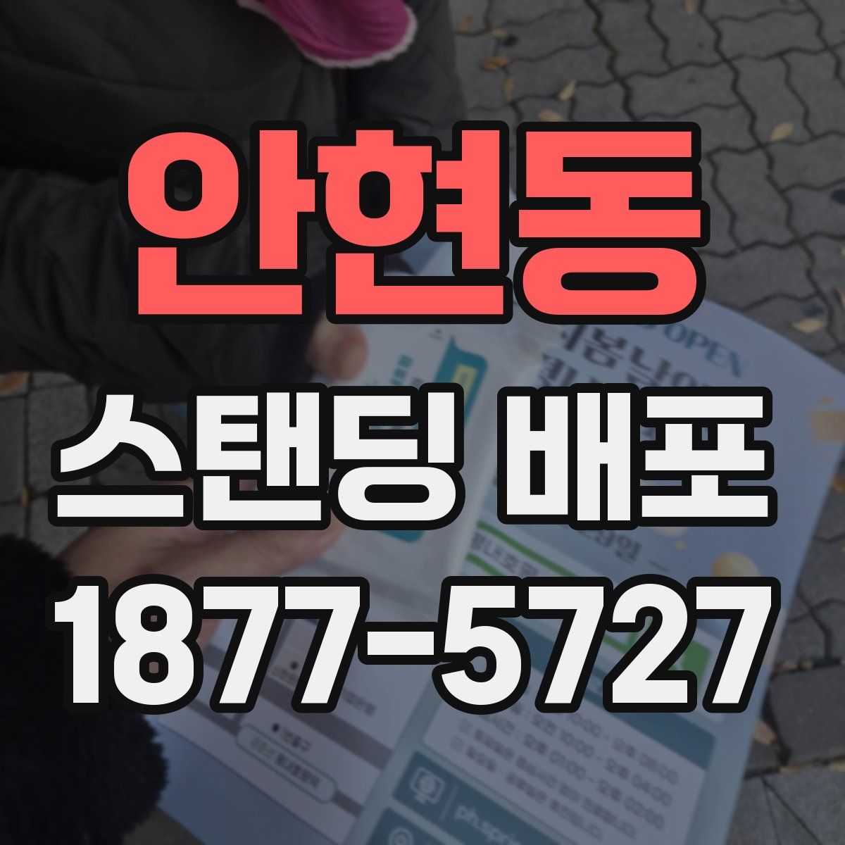 안현동 스탠딩 배포