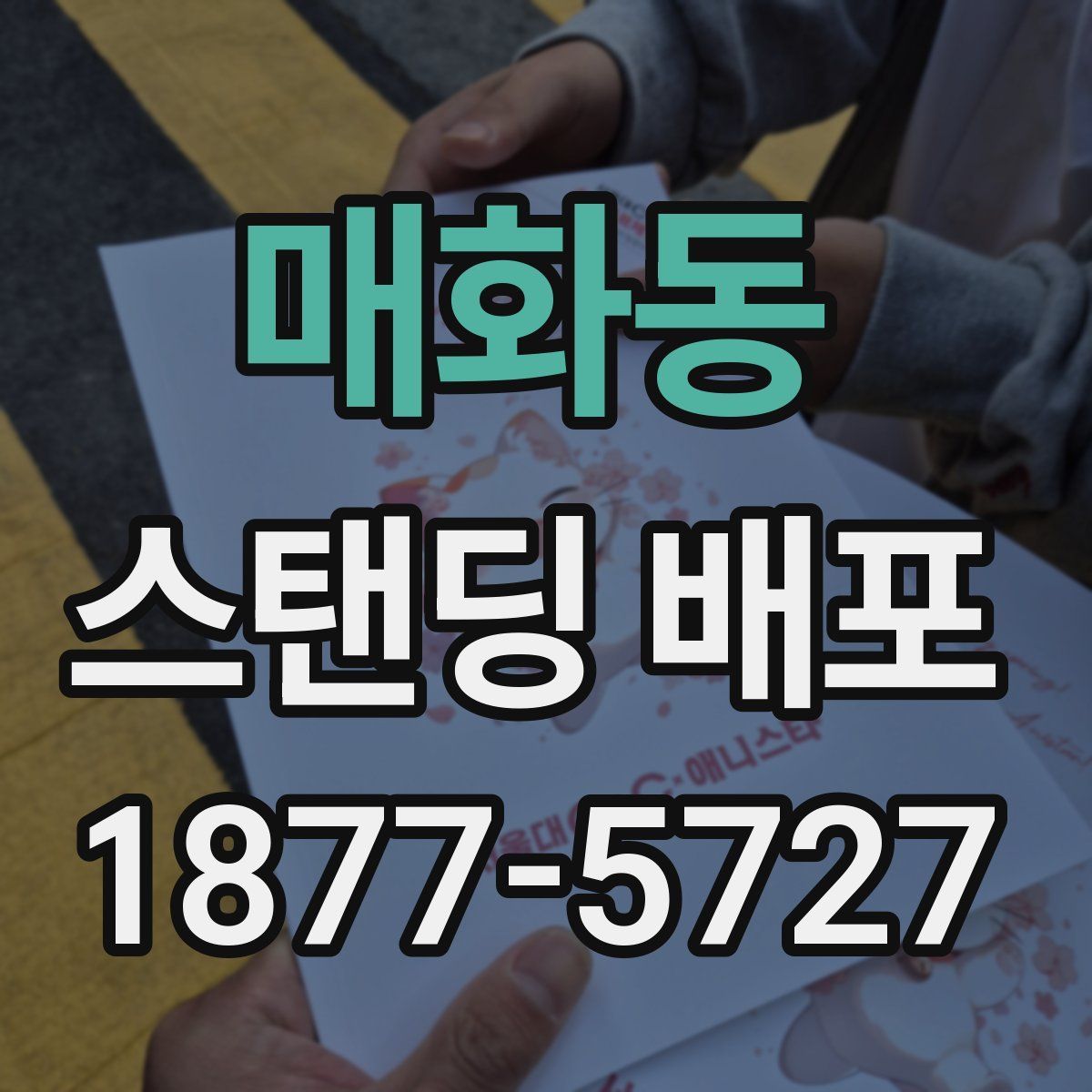 매화동 스탠딩 배포