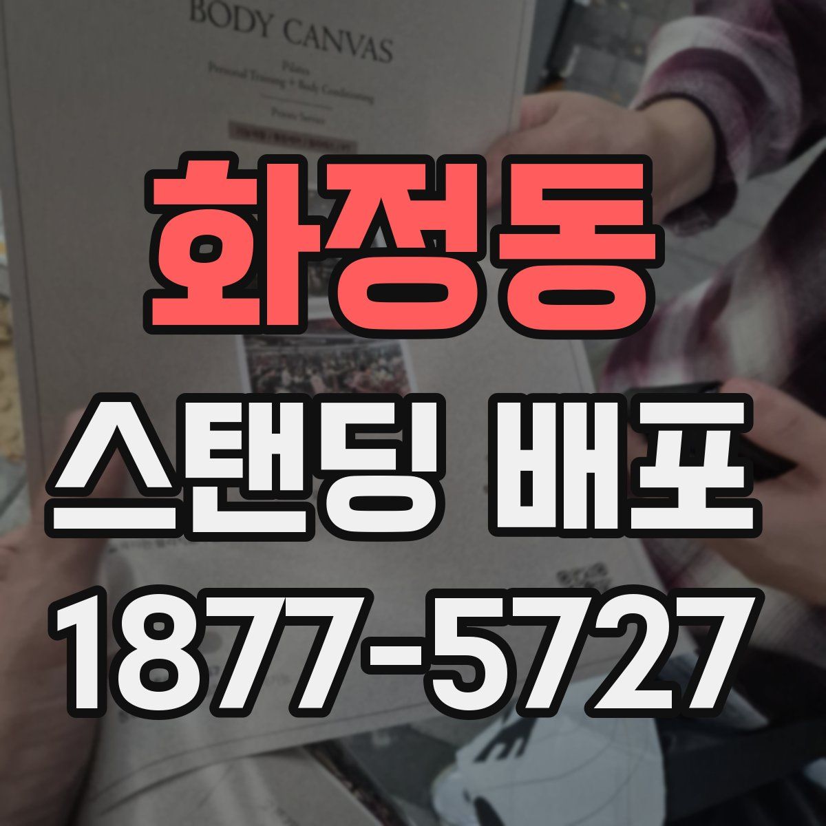 화정동 스탠딩 배포