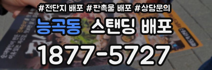 능곡동 스탠딩 배포