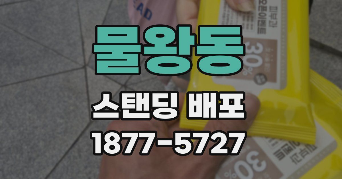 물왕동 스탠딩 배포