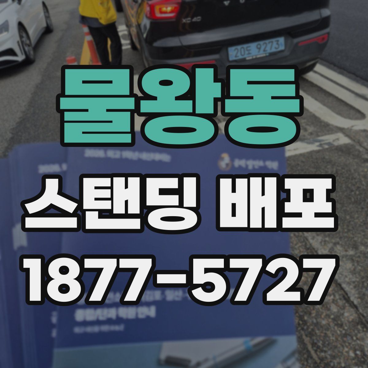 물왕동 스탠딩 배포