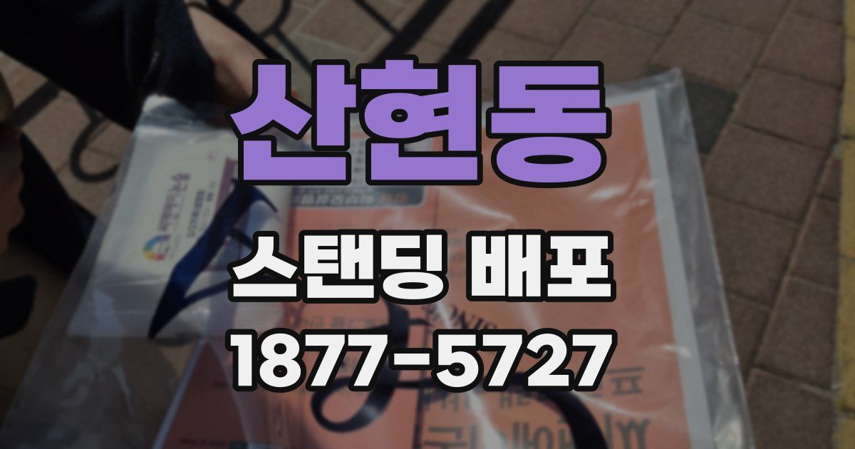 산현동 스탠딩 배포